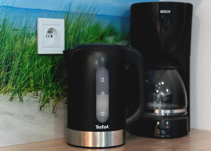 Close To The Seaside Beach,